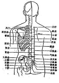 豆盟科技盘中异动股价大跌%报港元