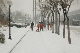 买墓地才开死亡证明，责任已处理，程序需规范