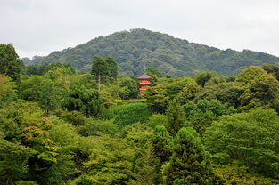 守护绿色脉络，全面解读无锡市河道管理条例，共建水城美景